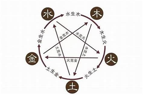 中五行|中字五行属什么